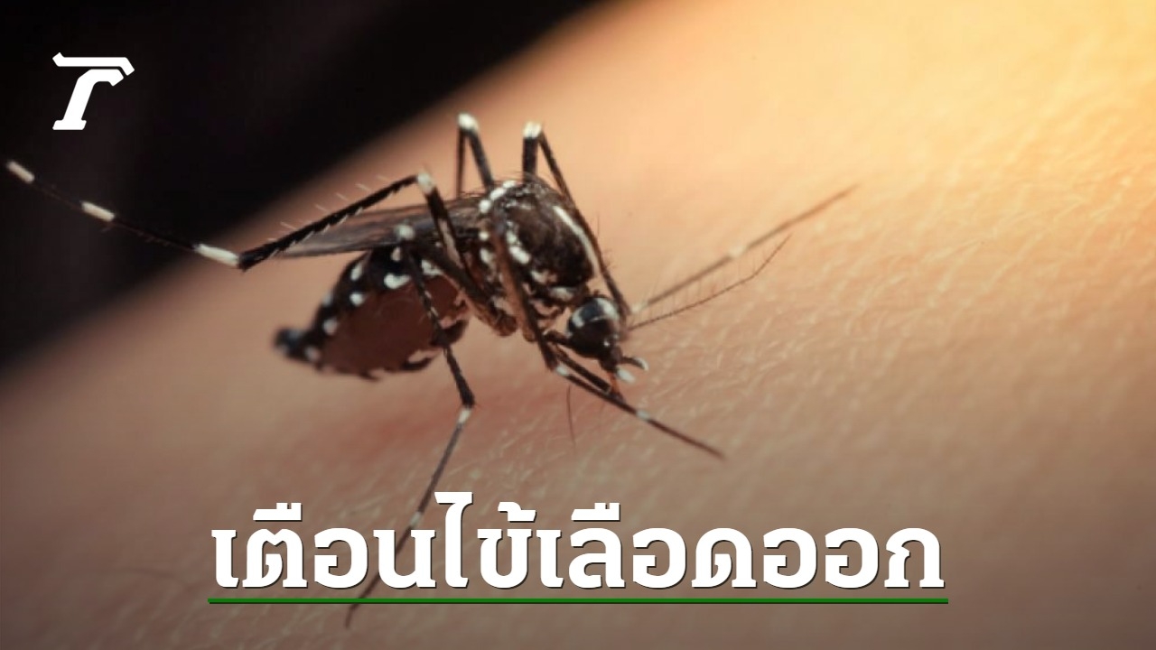 Government spokesman warns of dengue fever during rainy season