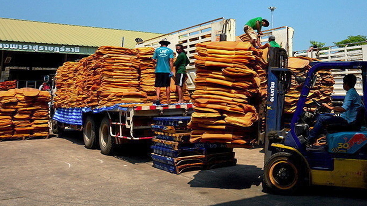 สถานการณ์ยางไทยและโลก