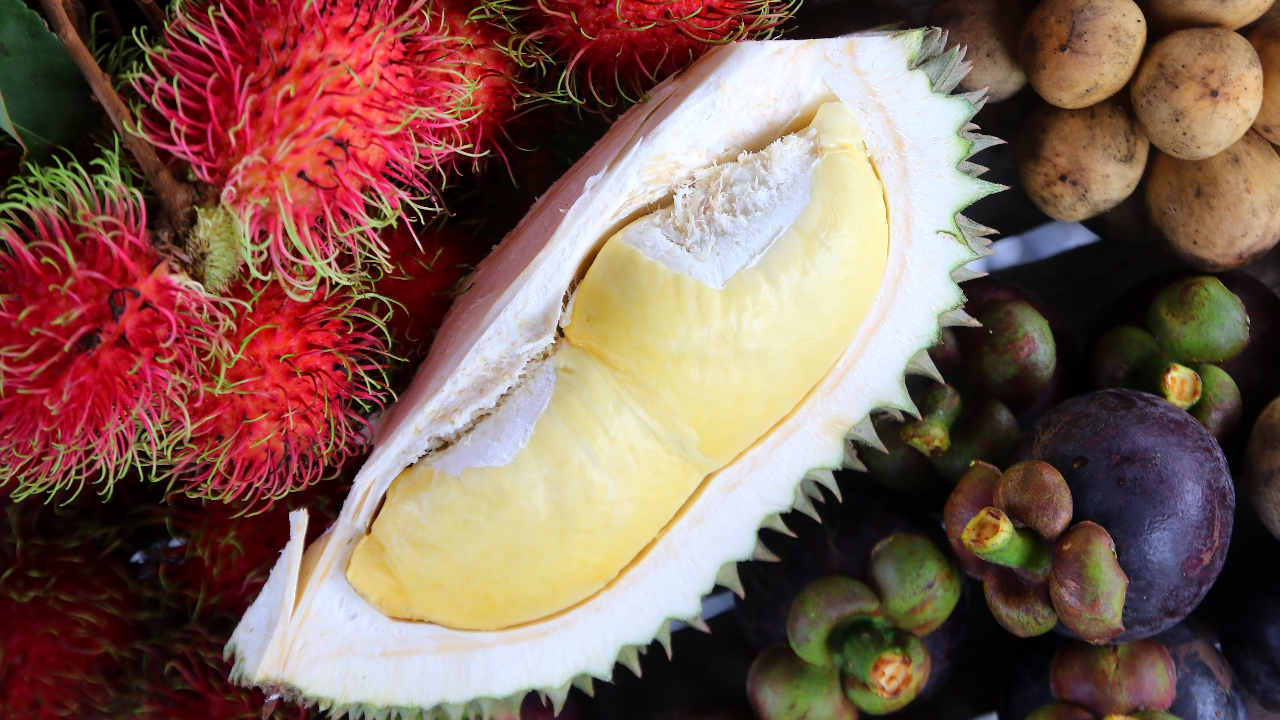 ทุเรียน มังคุด ปี 66 ราคาพุ่งสูงเป็นประวัติการณ์ ออเดอร์จากจีนเพียบ