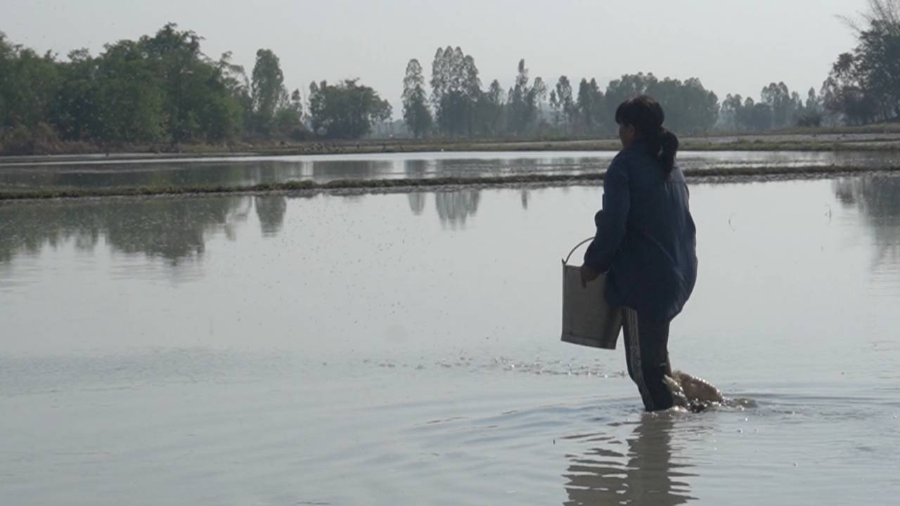 ชาวนาอุทัยธานี อยากเห็นรัฐบาลใหม่จากพรรคที่ชนะเลือกตั้ง ได้นั่งเป็นนายกฯ 
