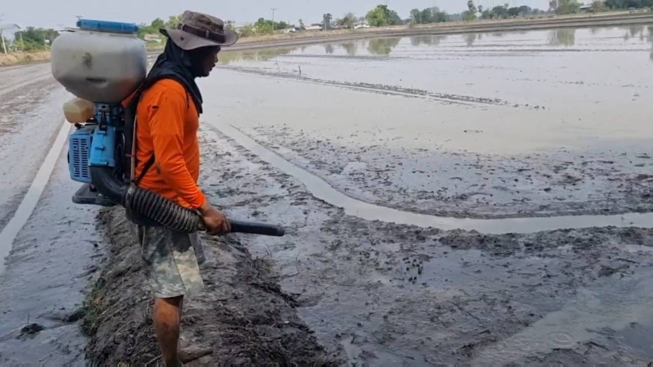 ชาวนานครสวรรค์ถือฤกษ์วันพืชมงคล 2566 เริ่มหว่านข้าวปลูก หวังได้ผลผลิตดี