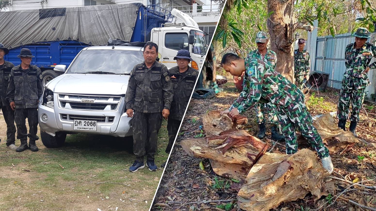 จับ หน.สวนพฤกษศาสตร์ จัดฉาก "ปล้นทิพย์" ที่แท้แอบขายไม้พะยูงของกลาง  