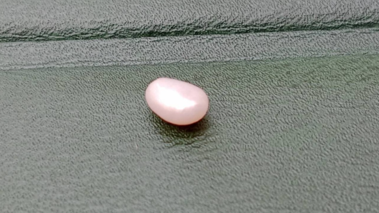 แม่ค้าแกะเนื้อหอยเชอรี่ขาย เจอมุกเมโล สีขาวอมชมพู 