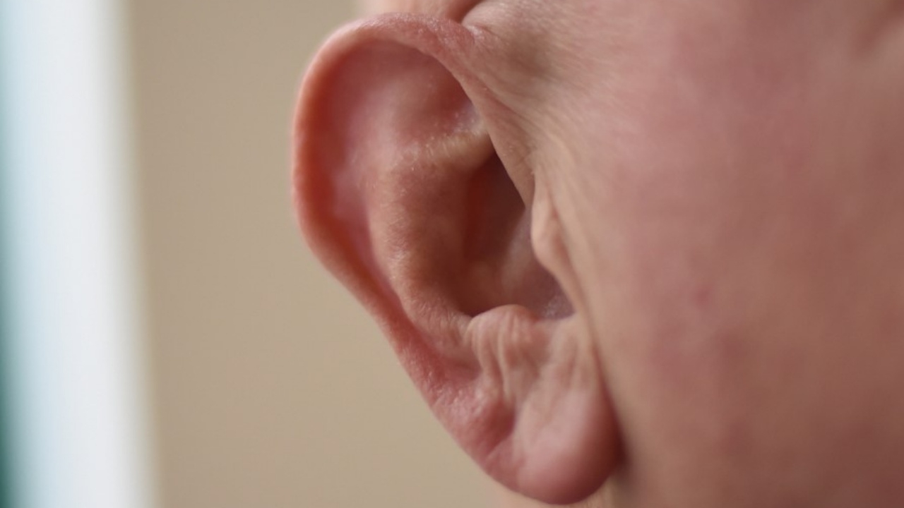 สุดตะลึงเจอแมงมุมทำรังในหูหญิงชาวจีน (คลิป)