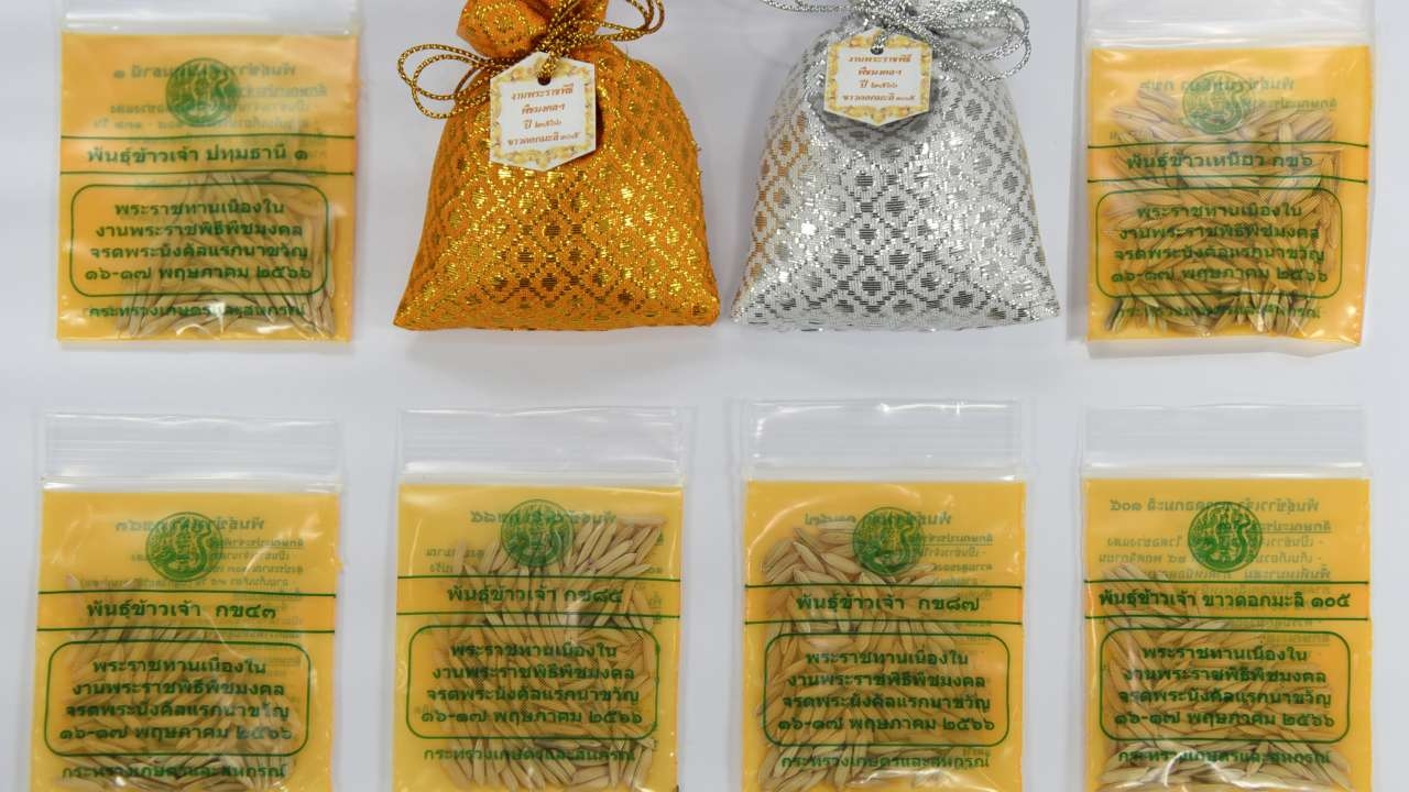 วันพืชมงคลปีนี้ "กรมการข้าว" เตรียมแจก 6 พันธุ์ข้าวทรงปลูกพระราชทาน