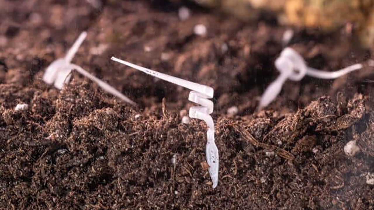 ทีมวิจัยเผยหุ่นยนต์เมล็ดพืชย่อยสลายได้ทางชีวภาพ