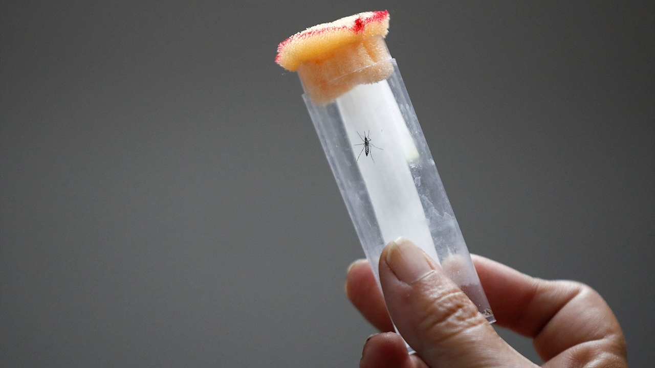 สู้โรคไข้เลือดออกระบาด ด้วยอะตอมรังสี