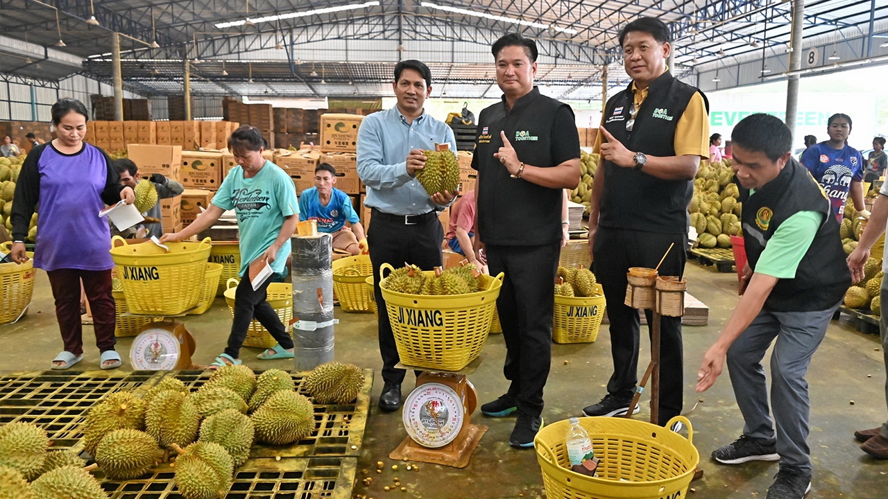 พร้อมส่งออกทุเรียนคุณภาพสู่จีน