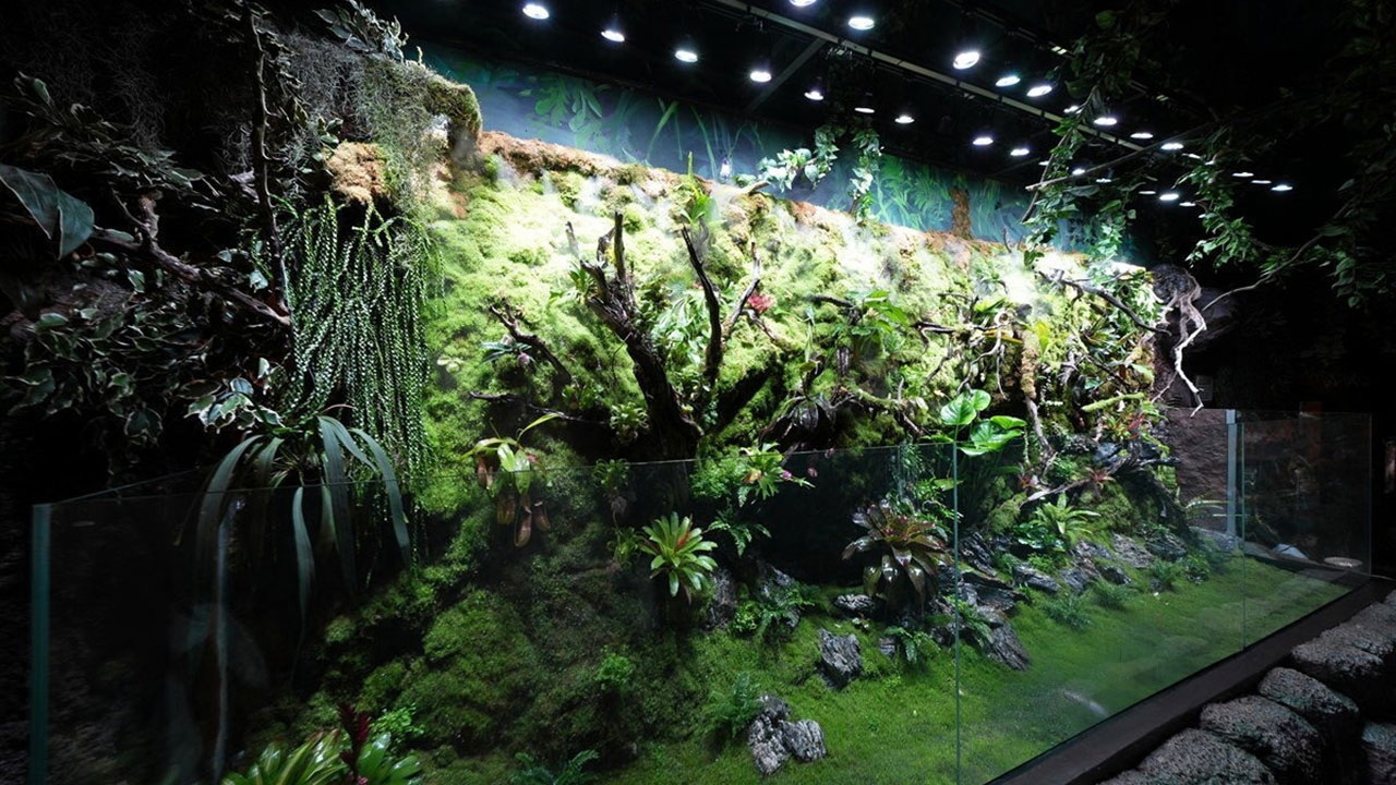 สำรวจความมหัศจรรย์ของป่าดิบชื้นใจกลางกรุง