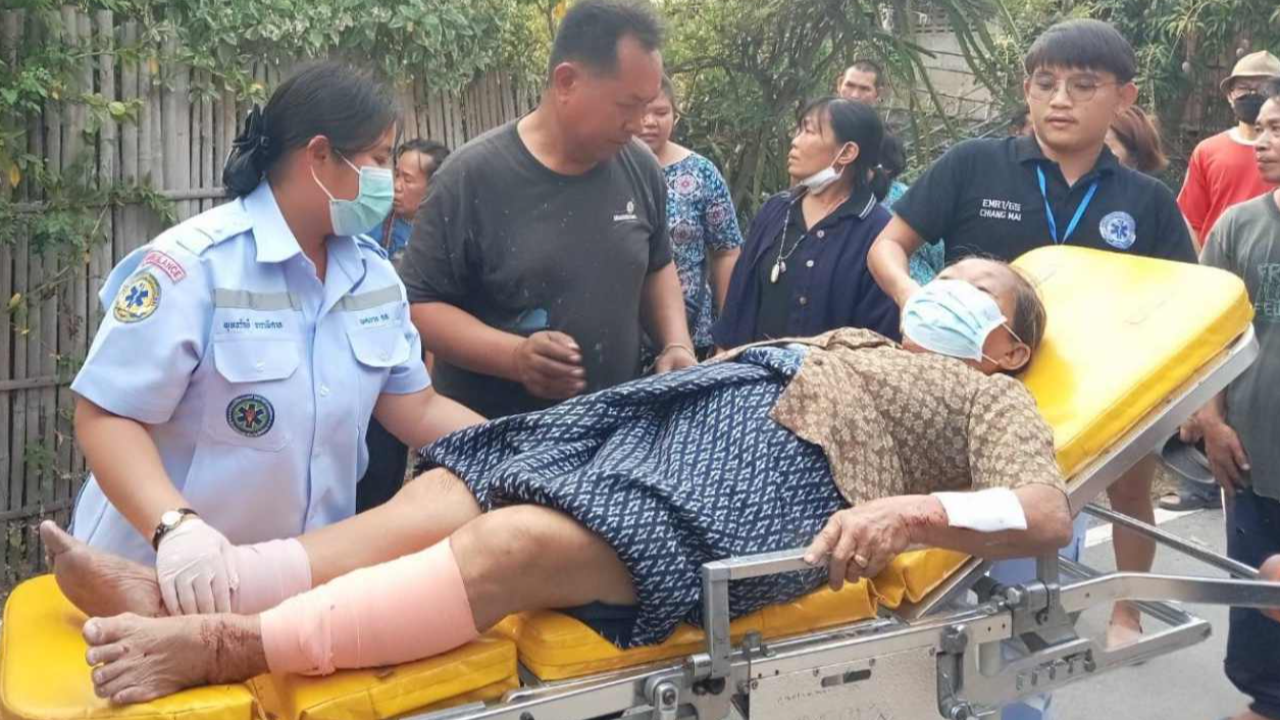 แม่อุ้ยวัย 81 เดินไปตลาด โดนหมาหมู่ 6 ตัวรุมฟัดขย้ำสาหัส