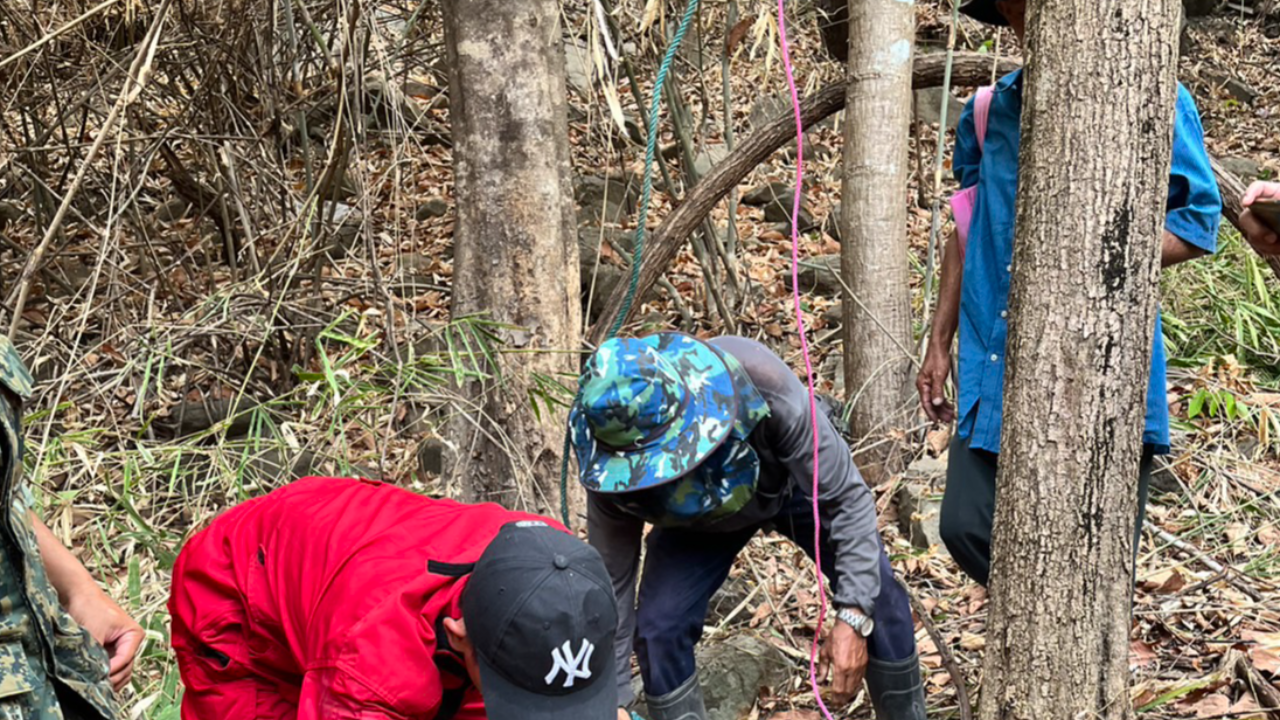 สลด ลุง 51 ปีนตีรังผึ้ง แตกฮือรุมต่อยดิ่งต้นไม้ ตายห้อยหัวคาเถาวัลย์