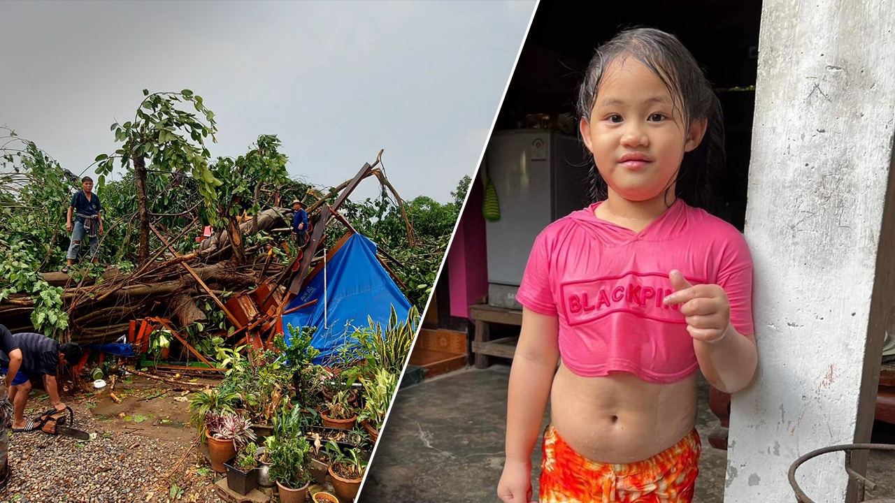 พายุพัดต้นไทรอายุ 100 ปี โค่นทับ "น้องเอวา" วัย 6 ปี ดับคาร้านอาหารที่แพร่