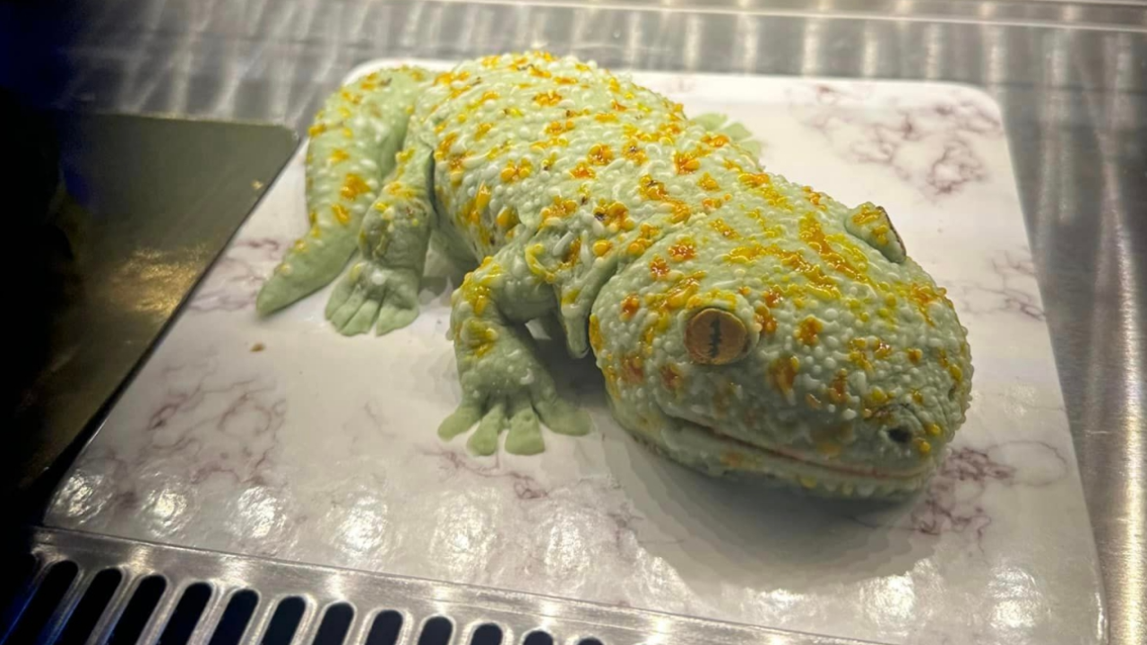 ลูกค้าขอมาก็จัดให้ คาเฟ่ดังเผยผลงานใหม่ "เค้กตุ๊กแก" สมจริงจนน่าขนลุก