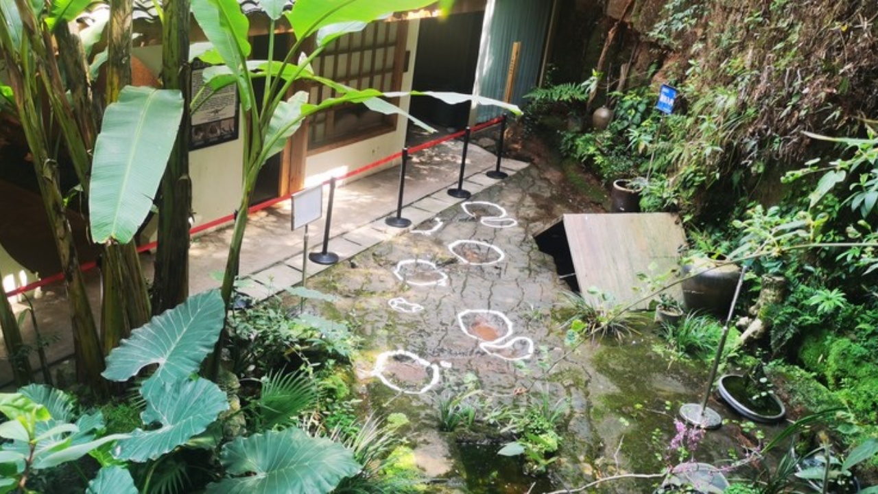 สุดอึ้ง 'รอยบุ๋ม' พบในร้านอาหารเสฉวน เป็นของไดโนเสาร์อายุ 100 ล้านปี