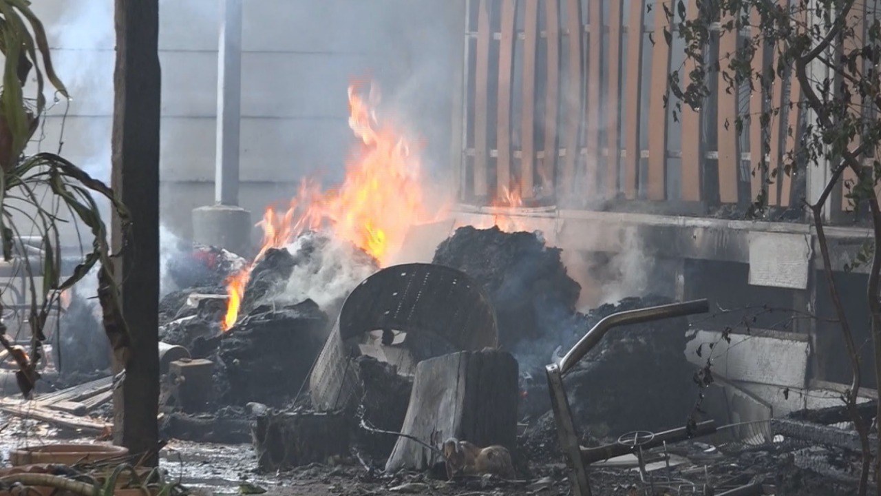 อากาศร้อน เจ้าของเปิดพัดลมให้หมาแมว ไฟไหม้คลอกตาย 11 ตัว 