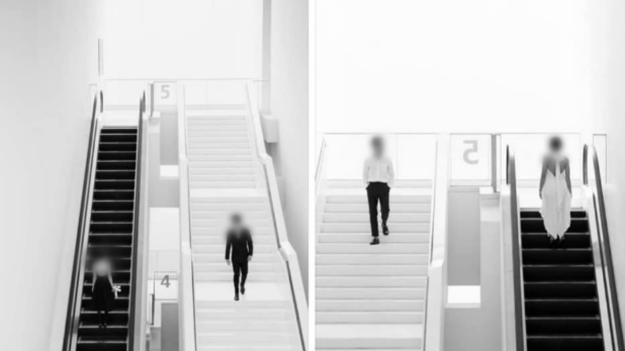 สนั่นโซเชียล "ดราม่าช่างภาพ" เปรียบเทียบภาพถ่าย ล่าสุดขอโทษแล้ว