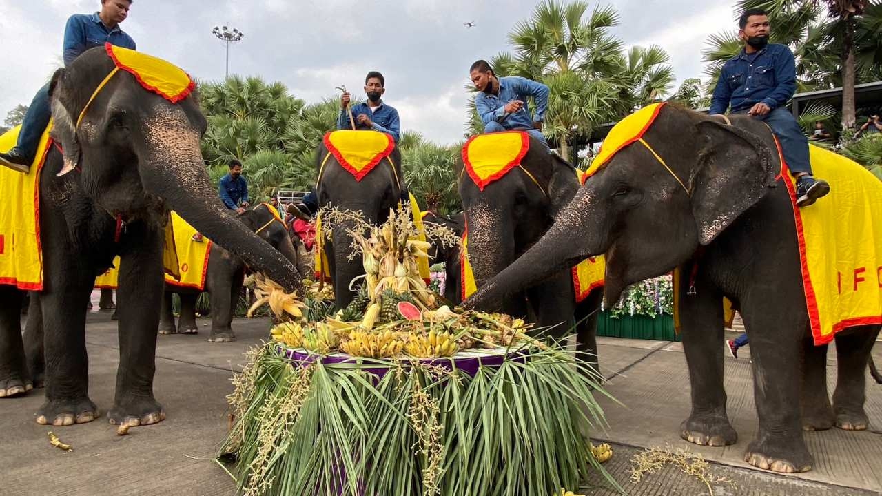 สวนนงนุชพัทยา ทำพิธีฮ้องขวัญ พร้อมเลี้ยงโต๊ะจีนช้าง เนื่องในวันช้างไทย
