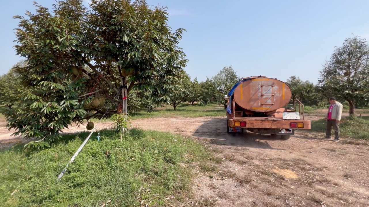 สวนทุเรียนตราดเจอภัยแล้งรุมเร้า ฝนทิ้งช่วง 5 เดือน เร่งเจาะบาดาลยื้อก่อน