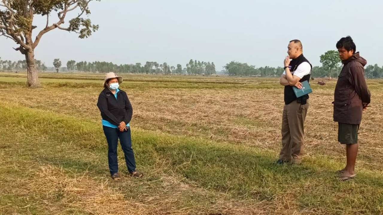 ผญบ.สุรินทร์คาดสัตว์ที่ขย้ำวัวตาย 5 ตัว เป็นหมาจรจัดหิวโซ วางกับดักรอพิสูจน์