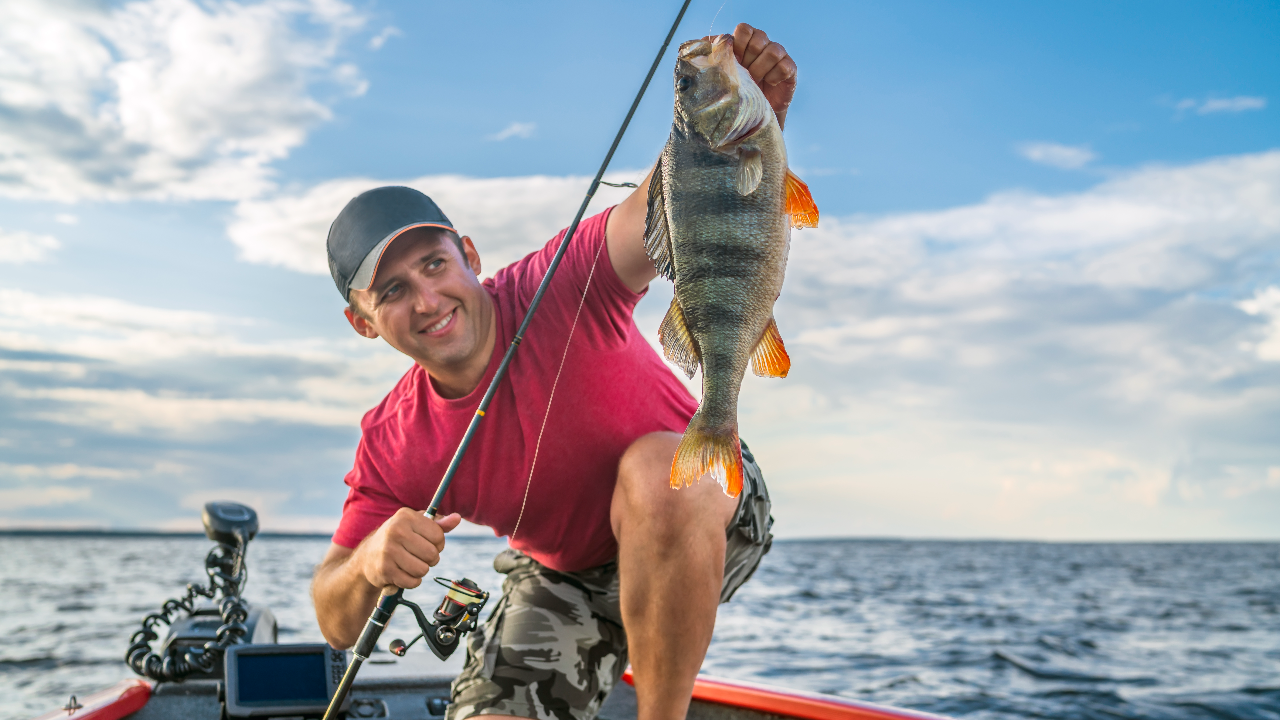 มือใหม่ควรรู้ 10 วิธีตกปลา เทคนิคง่ายๆ ที่ต้องเตรียมพร้อมมีอะไรบ้าง?