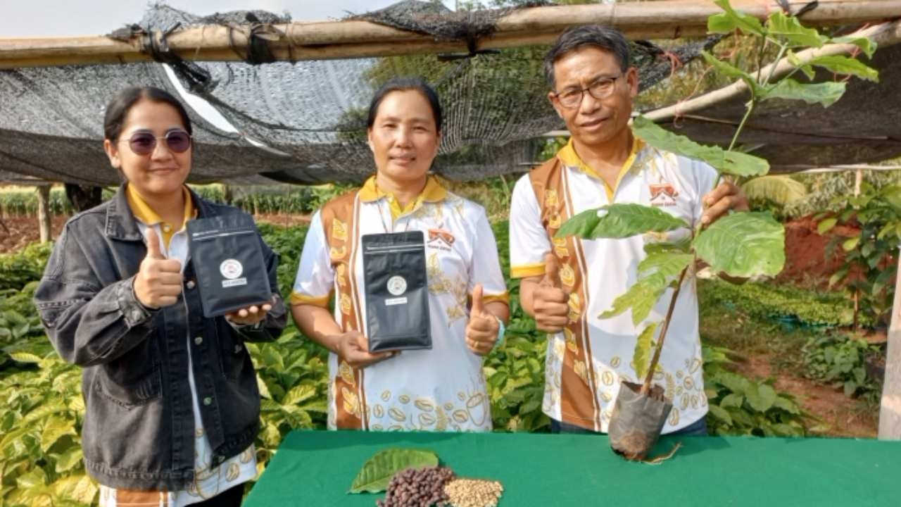 เกษตรกรเสิงสางปลูกพืชผสมผสานควบไร่กาแฟ เก็บเมล็ดขายสร้างรายได้แบบยั่งยืน