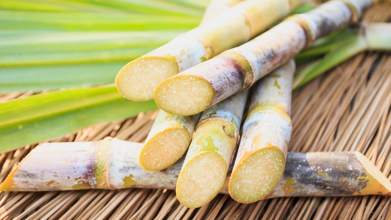 เคาะแล้ว ราคาอ้อยขั้นต้น ฤดูการผลิตปี 65/66 อัตรา 1,080 บาทต่อตันอ้อย