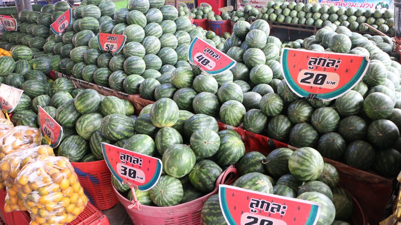 แตงโมกำแพงเพชรแพงขึ้น 100% เหตุขาดตลาดแค่ลูกเล็ก 20 บาทถ้าลูกใหญ่ 200 บาท