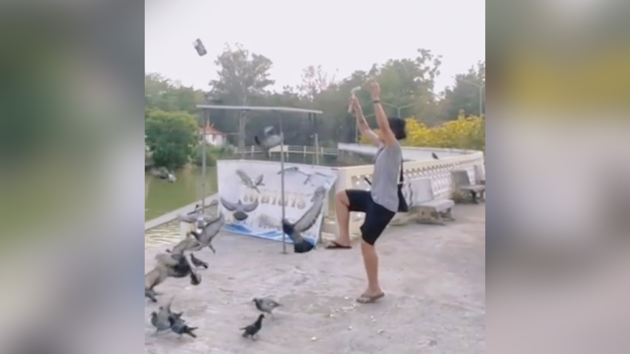 ช็อตฟีล หนุ่มถ่ายคลิป "ไล่นกพิราบ" แต่ "มือถือ" ดันหลุดบินลงน้ำ