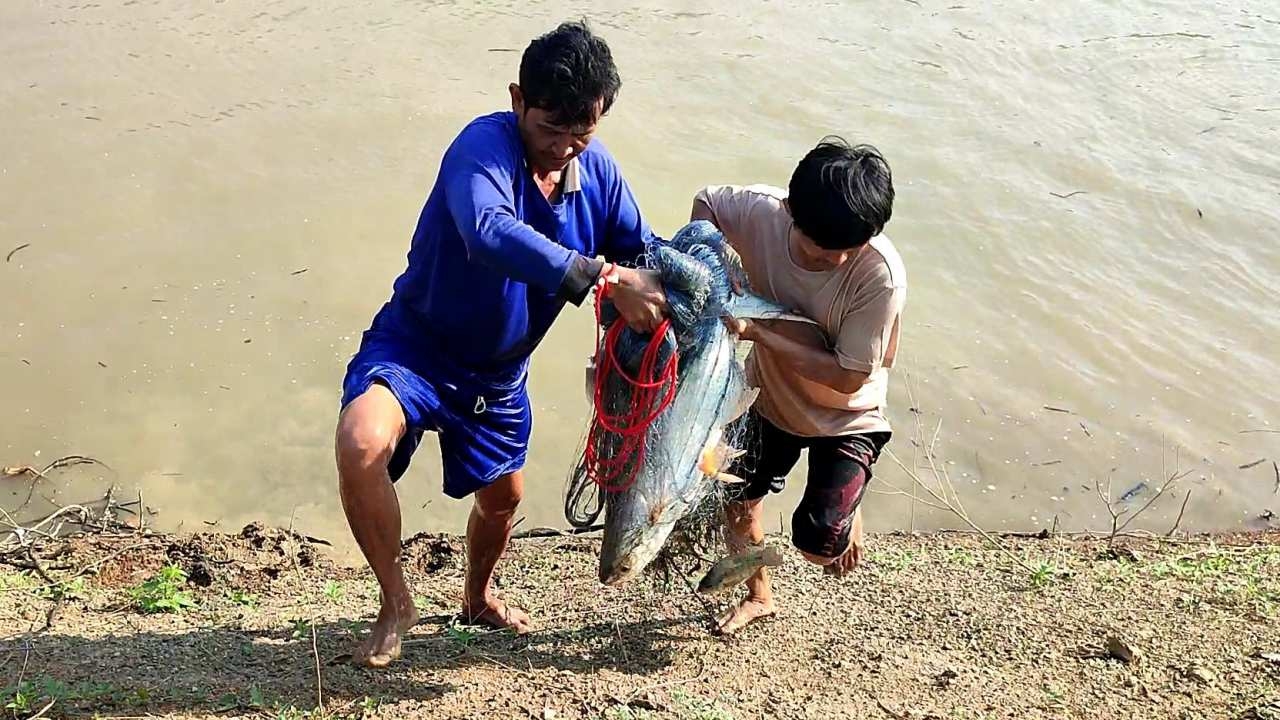 เซียนแหแห่จับปลาในสระน้ำ 4 ไร่ ที่บ้านวังไทรทอง เพชรบูรณ์ ไปทำปลาเผาลวกจิ้ม