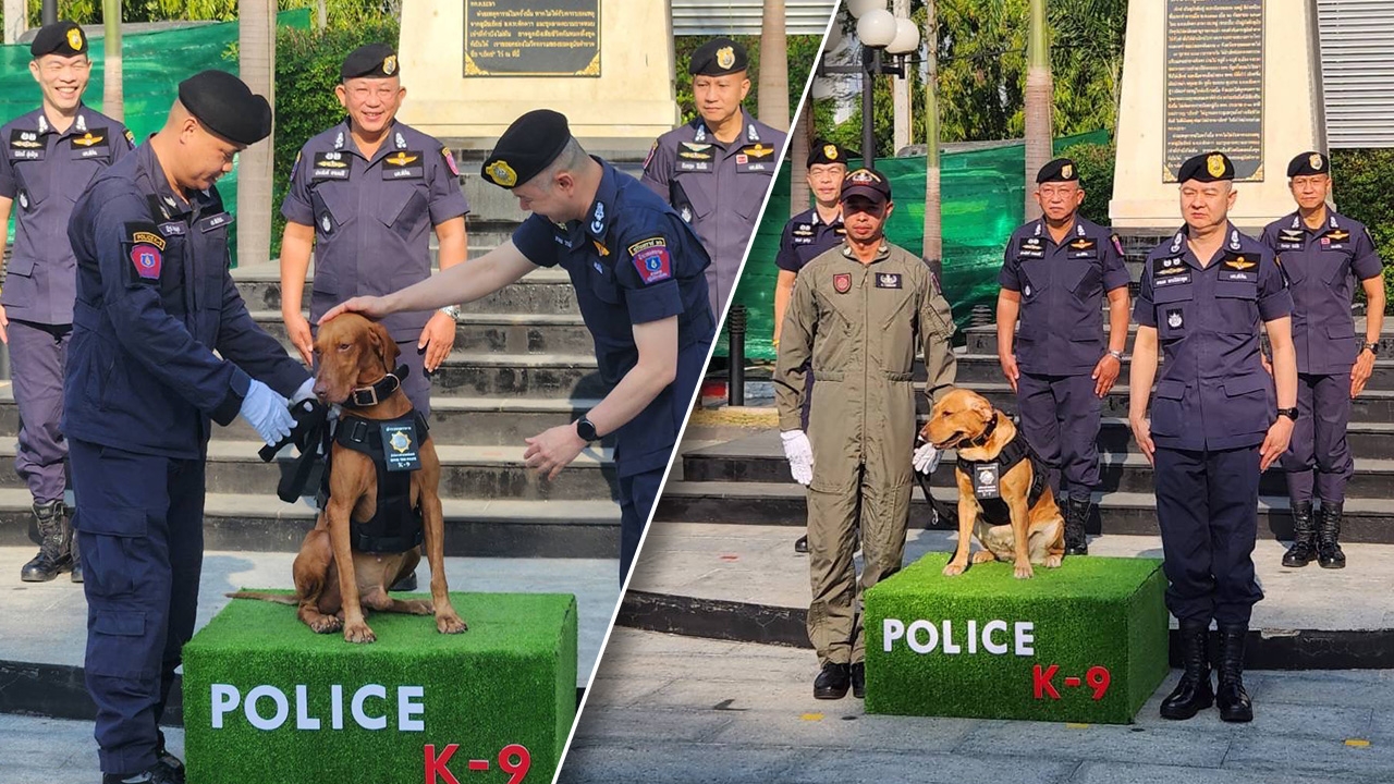 191 ติดยศ "สุนัขตำรวจตรี" ให้ "ไอร่า-โคล่าร์" K9 ไขคดีน้องชมพู่-ไอซ์หีบเหล็ก