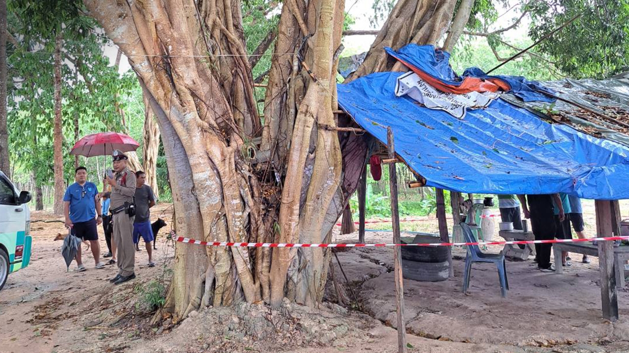 ฟ้าผ่าดับสยอง 1 ศพ เจ็บอีก 3 ขณะผูกเปลนอนอยู่ในเพิงพักใต้ต้นไม้ใหญ่ที่ระยอง