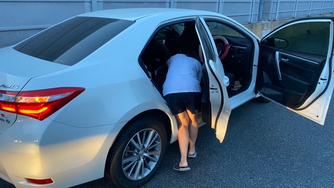 ไม่กล้าขับต่อ สาวเจอ "จิ้งจก" โผล่ในรถ สุดท้ายสายตรวจช่วยจับไปปล่อย