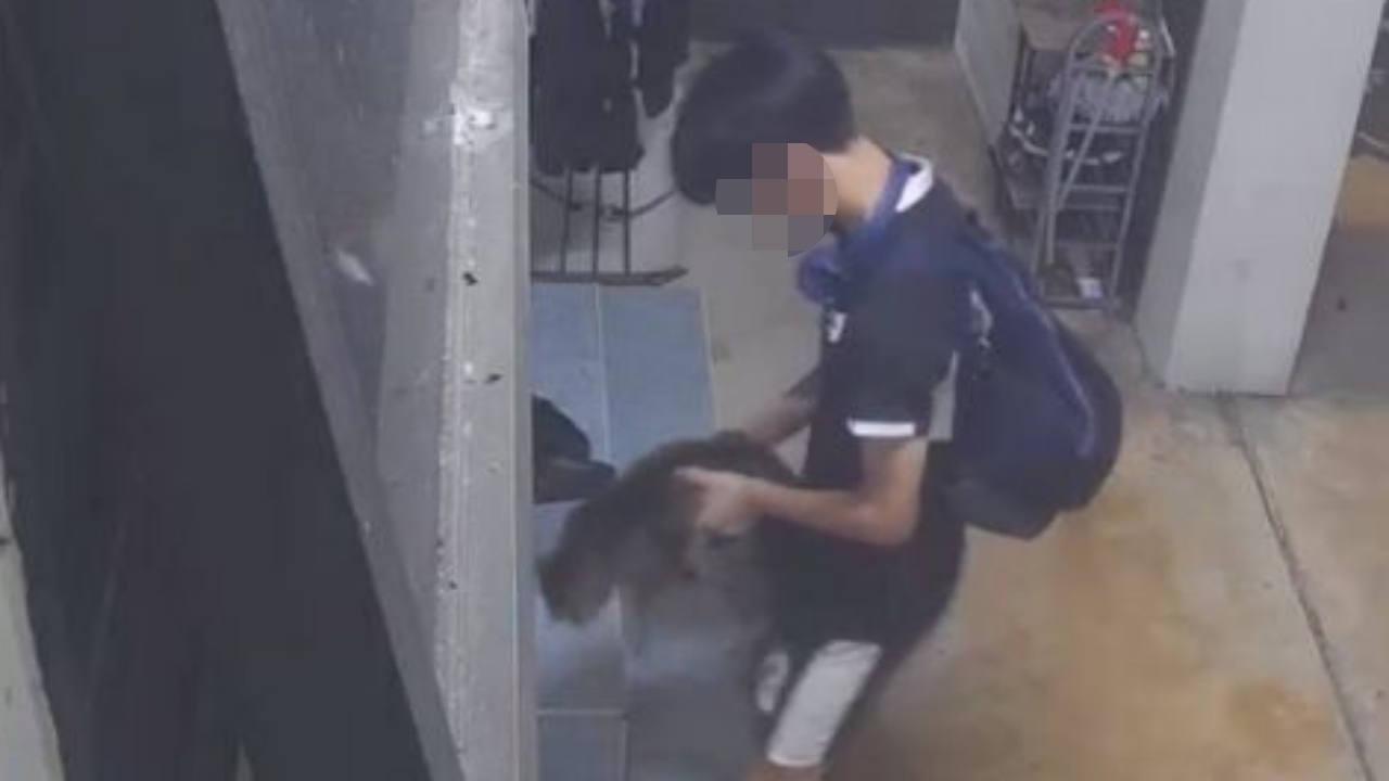 สุดฉาว กล้องวงจรปิดจับภาพวัยรุ่นสิงคโปร์เล่นพิเรนทร์ทำอนาจารแมว