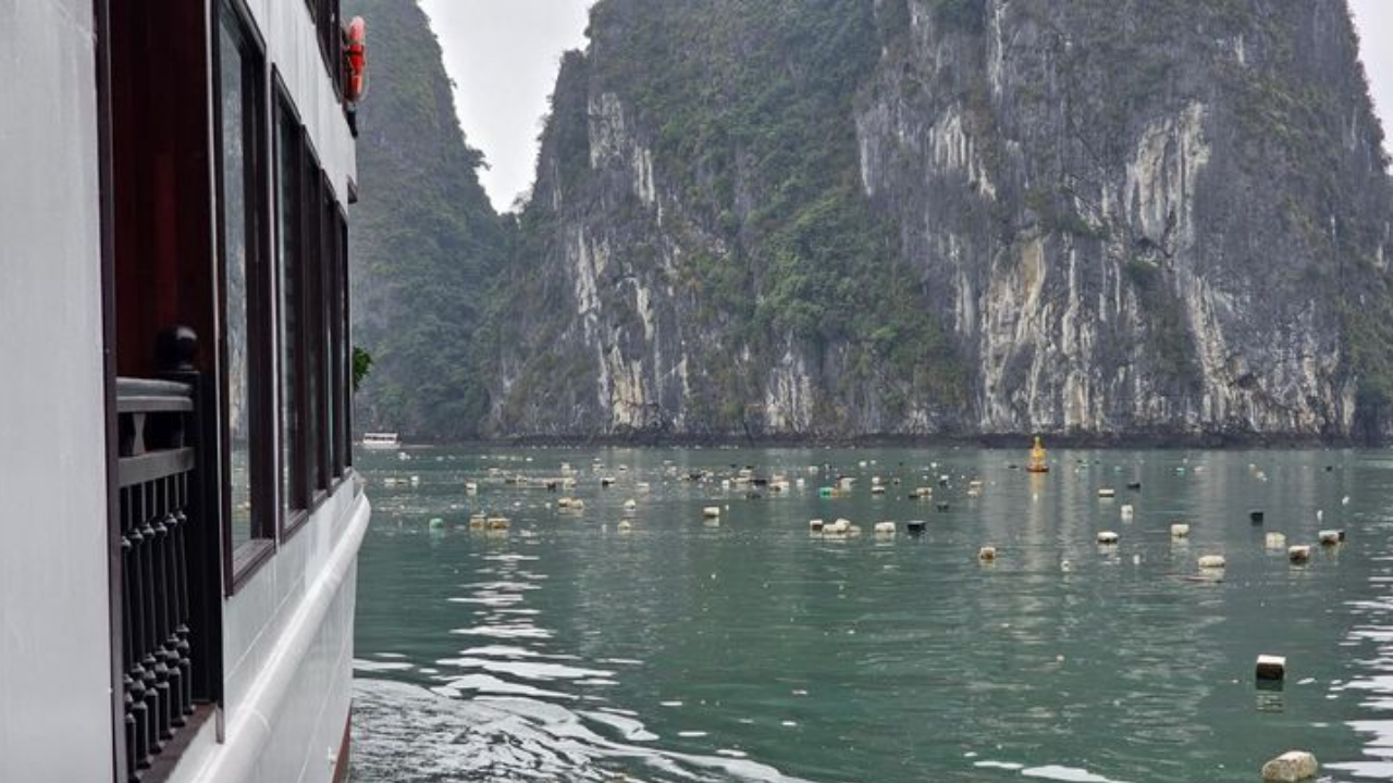 สุดทน นักท่องเที่ยวร้องเรียนขยะเกลื่อน "อ่าวฮาลอง" ทางการเวียดนามเร่งจัดเก็บ