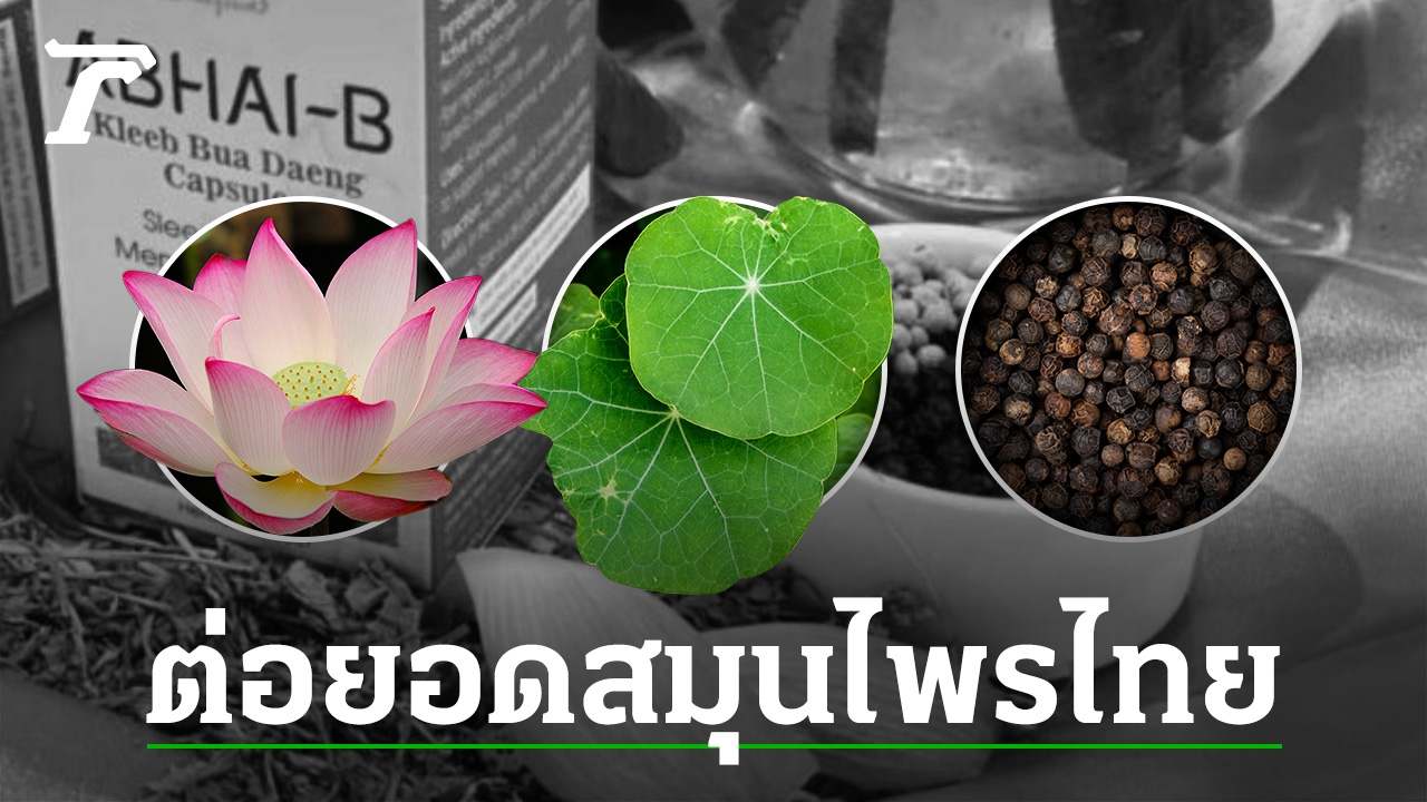 Red Lotus Flower Herb: A Memory Restoring Aid for the Continued Treatment of Dementia Patients.