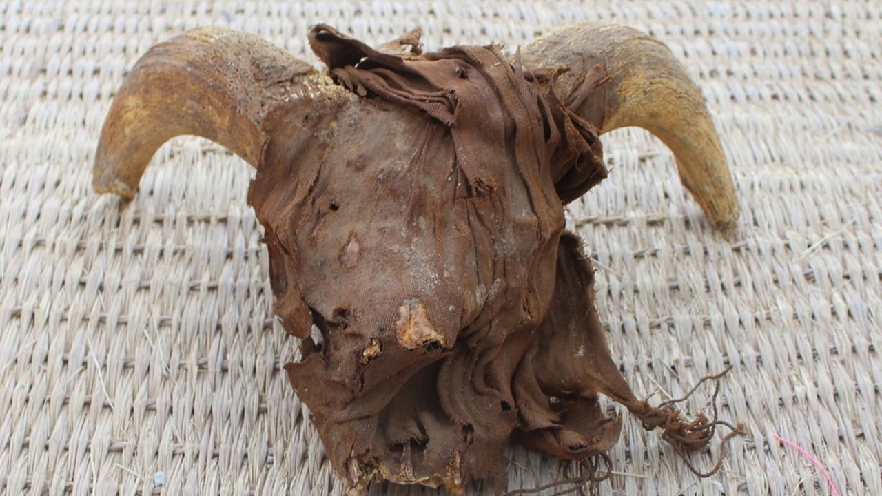 หัวแกะมัมมี่ 2,000 ตัว ในเมืองโบราณอียิปต์