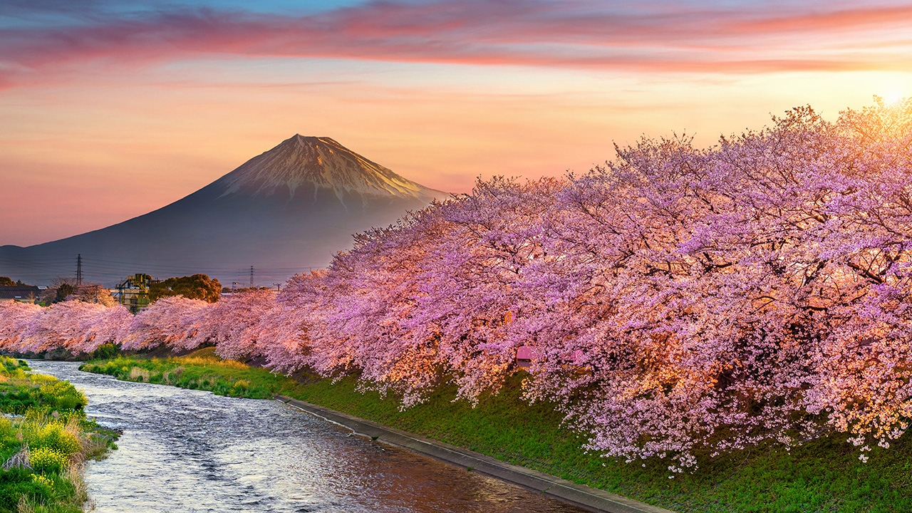 JNTO แนะนำ 2 เว็บไซต์ ครบครันเพื่อวางแผนเที่ยวญี่ปุ่นอย่างโปร