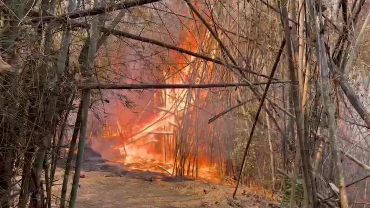 เชียงรายเจอควันไฟป่า 3 ประเทศ ขอ ฮ.จากเชียงใหม่ โปรยน้ำเพิ่มความชุ่มชื้น 