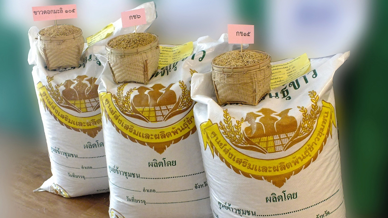 ชาวนายุคใหม่ต้องได้ข้าวพันธุ์ดี