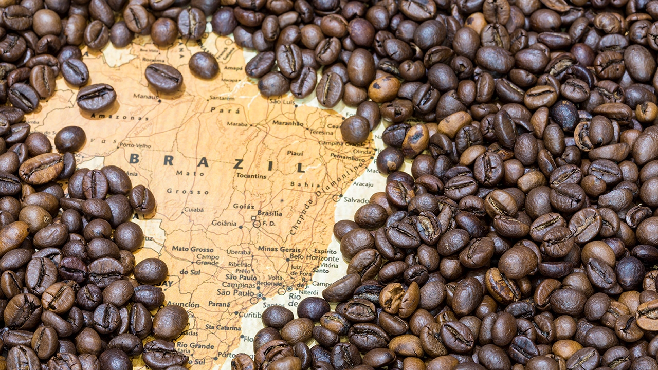 มาดูกาแฟที่บราซิล