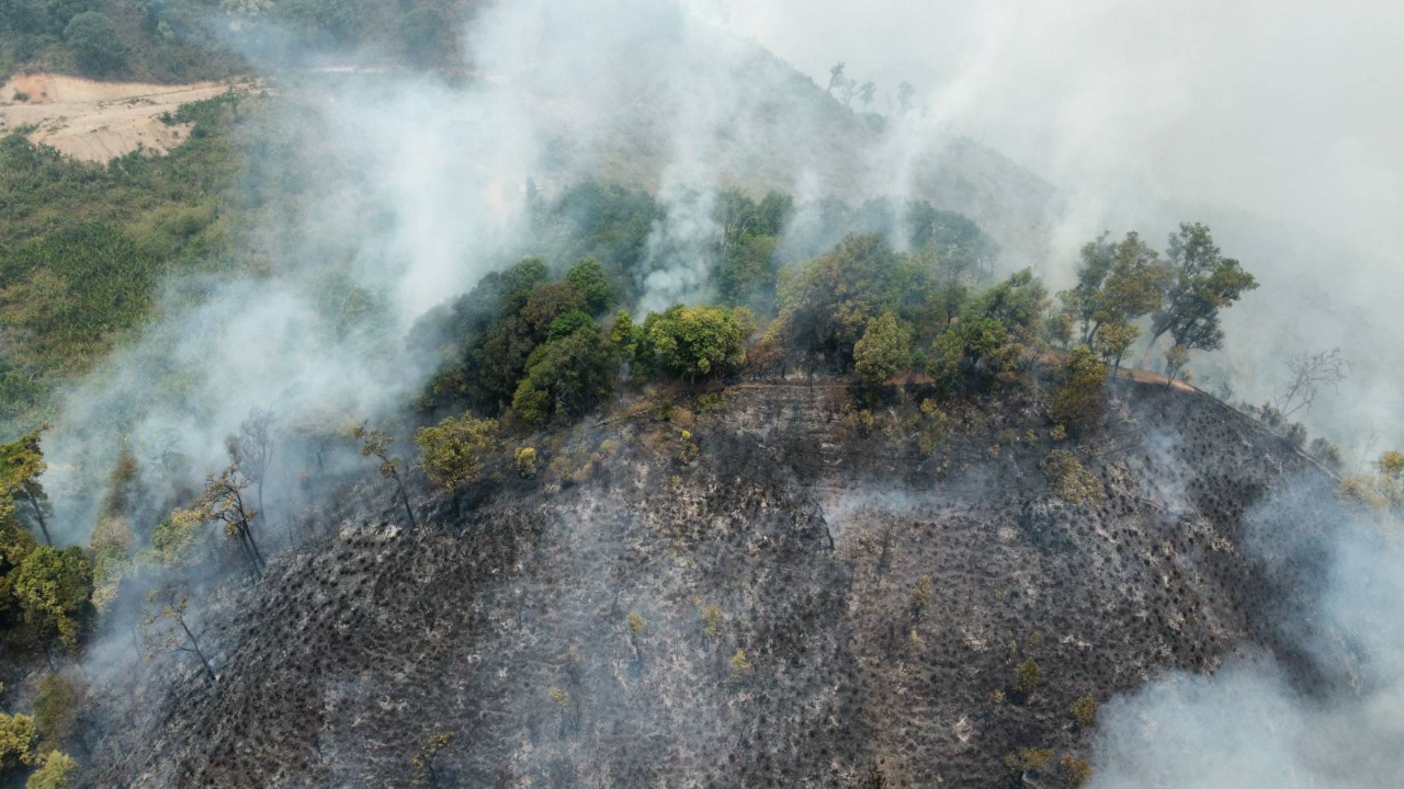 ไฟป่าบนดอยช้างลามหนัก ผู้ว่าฯ เชียงราย สั่งระดมทุกภาคส่วนแก้ปัญหา PM 2.5