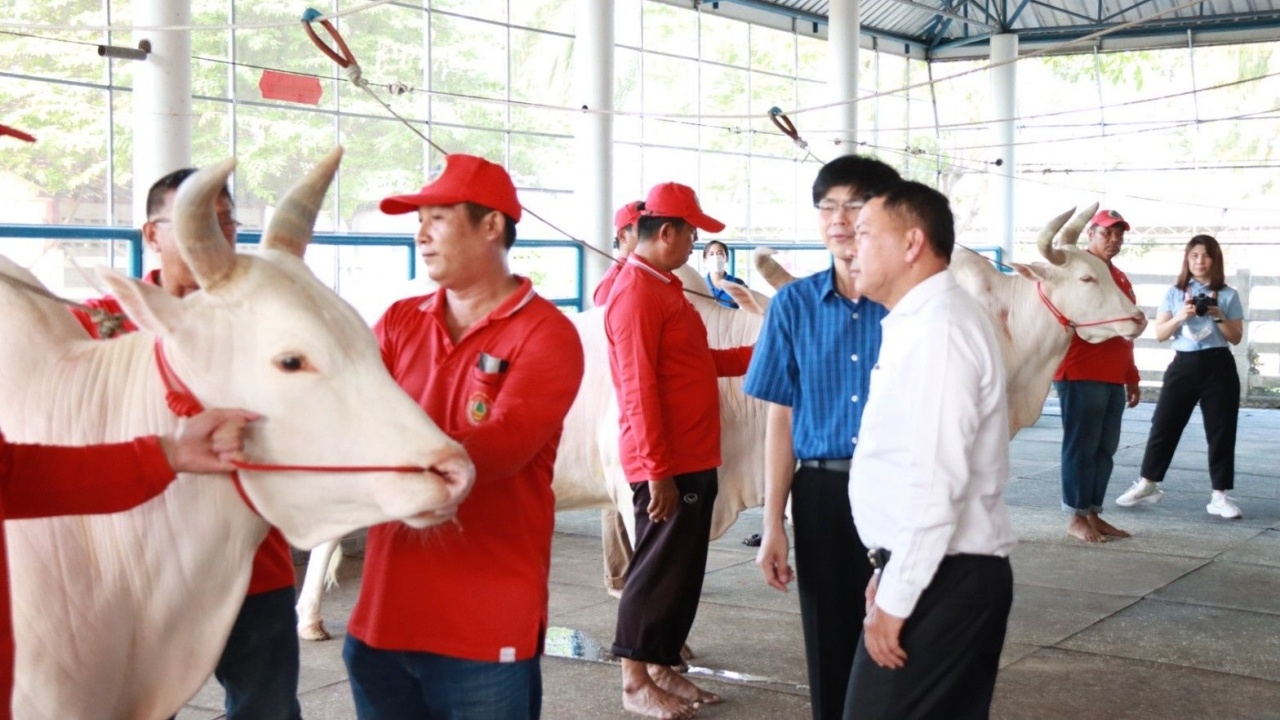 ปลัดเกษตรฯ นำทีมฝึกซ้อม เตรียมพร้อมพิธีพืชมงคลฯ ประจำปี 2566