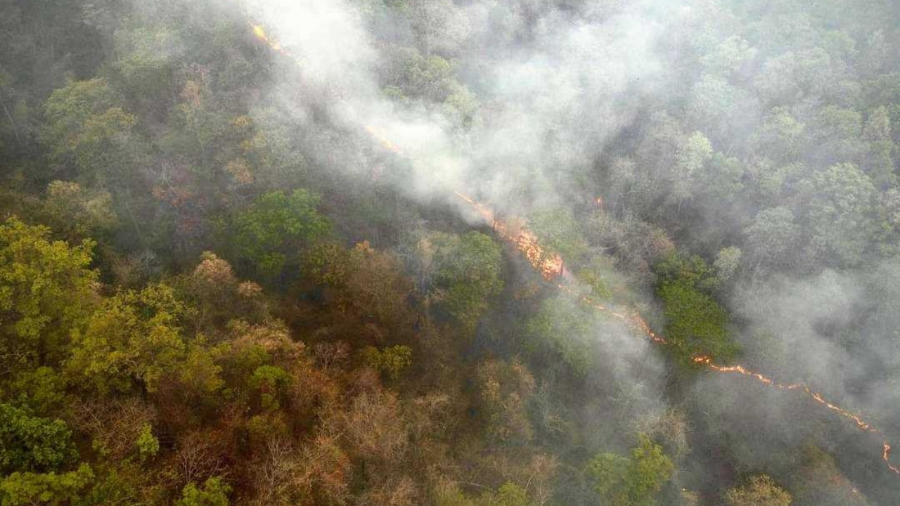 ไฟป่าดอยสุเทพ ซ้ำฝุ่น PM 2.5 ทำมลพิษเมืองเชียงใหม่ ครองที่ 1 แย่ของโลก