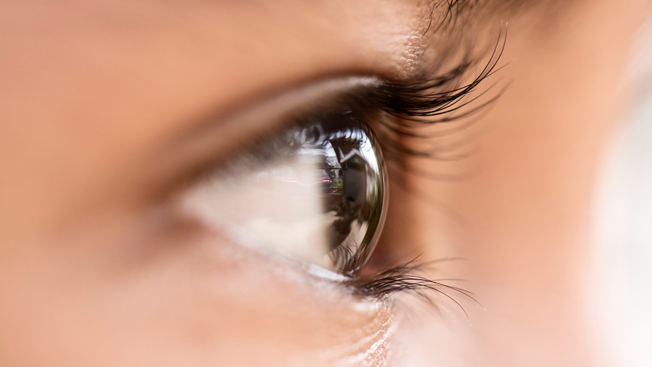 ตาบอดสีสอบใบขับขี่ได้ไหม มีภาวะตาบอดสีขับรถอันตรายหรือเปล่า?