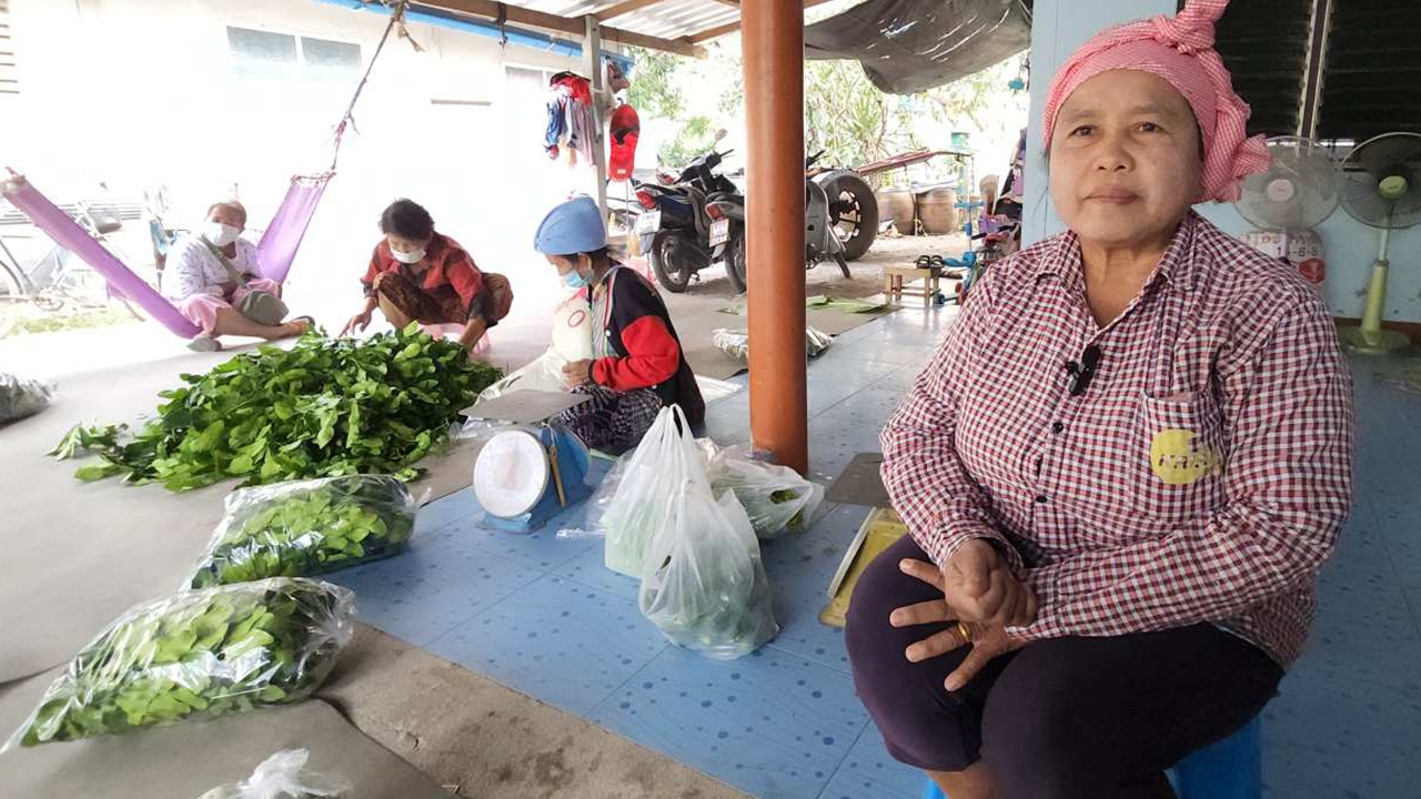 ชาวสวนผักราชบุรีเจออากาศหนาว กระทบผักเติบโตได้ช้า ทำให้ราคาขยับสูงขึ้น