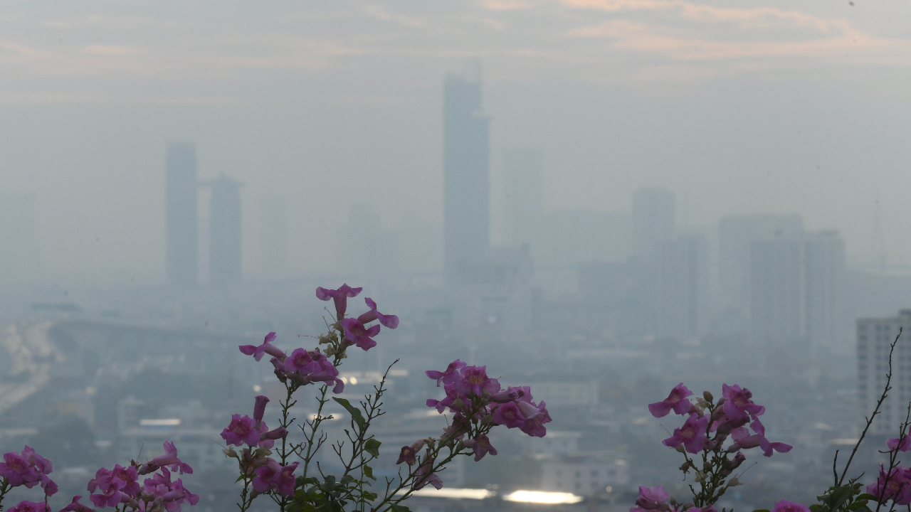 เช็กด่วน เช้านี้คนกรุงอ่วม ค่าฝุ่น PM 2.5 พุ่งเกินมาตรฐาน 43 พื้นที่