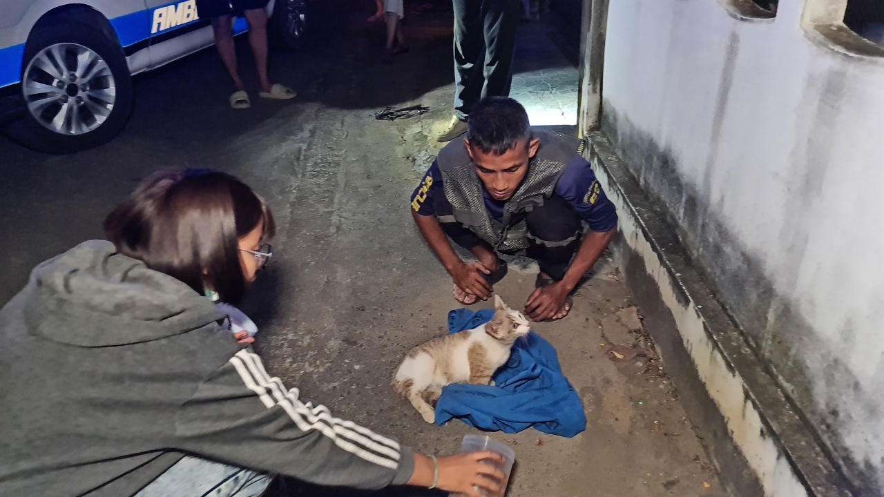 ไม่รู้มาจากไหน น้องแมวจร ขาติดรั้วบ้าน ร้องโวยวายไม่หยุด จนกู้ภัยต้องรีบมาช่วย