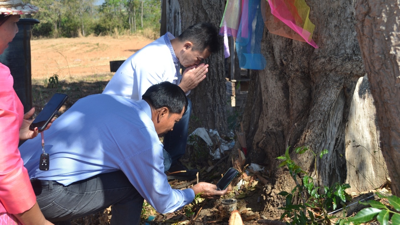 คอหวยแห่ส่องธูปมงคล พิธีไหว้ "ต้นประดู่ทอง" อายุกว่า 100 ปี หลังเคยให้โชคนับแสน