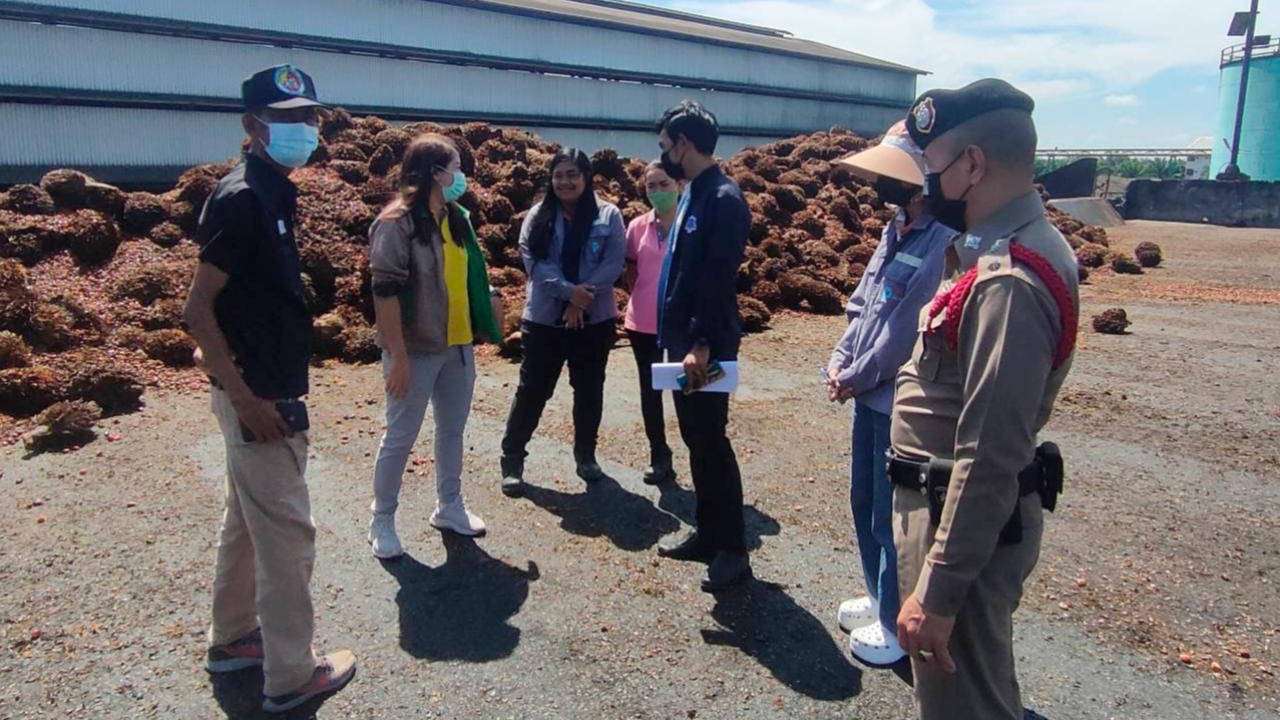 หวั่นกระทบราคารับซื้อ สั่งตรวจสอบโรงงานสกัดปาล์มสุราษฎร์ฯ ลดกำลังผลิต