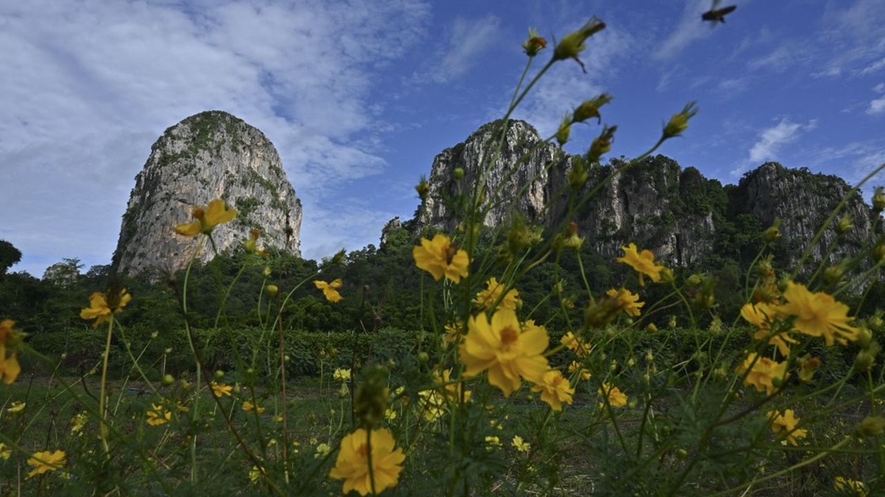 สภาพอากาศวันนี้ ไทยตอนบนหนาวเย็น ภาคใต้มรสุมอ่อนกำลังแต่ฝนยังตกหนัก